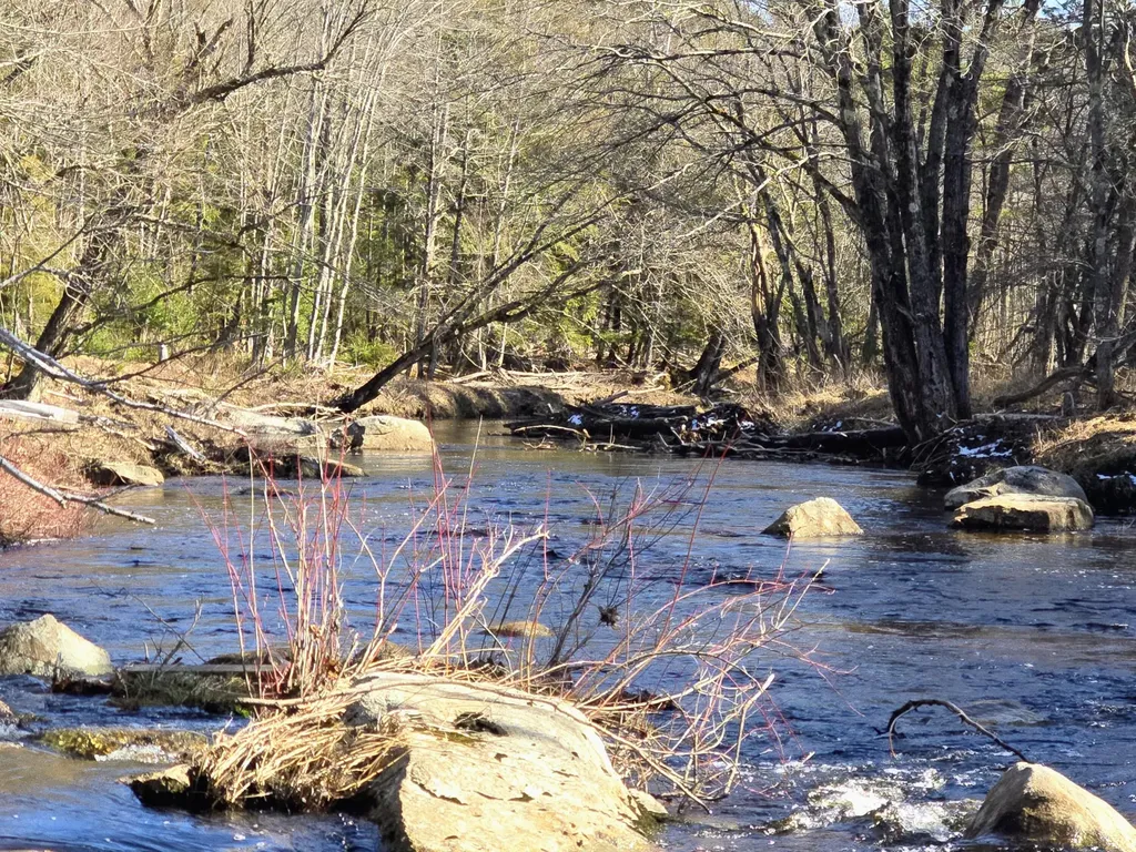 199 Morrill Street Buckfield ME 04220