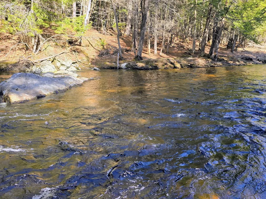 199 Morrill Street Buckfield ME 04220