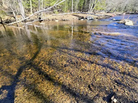 199 Morrill Street Buckfield ME 04220