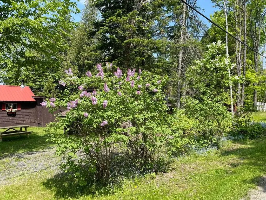875 S Shore Road Stockholm ME 04783