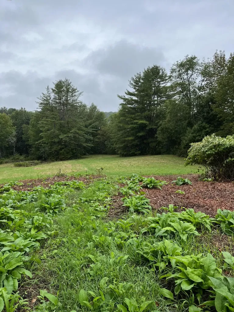 265 Friendship Road Waldoboro ME 04572