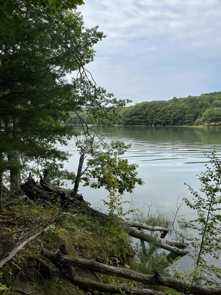 265 Friendship Road Waldoboro ME 04572