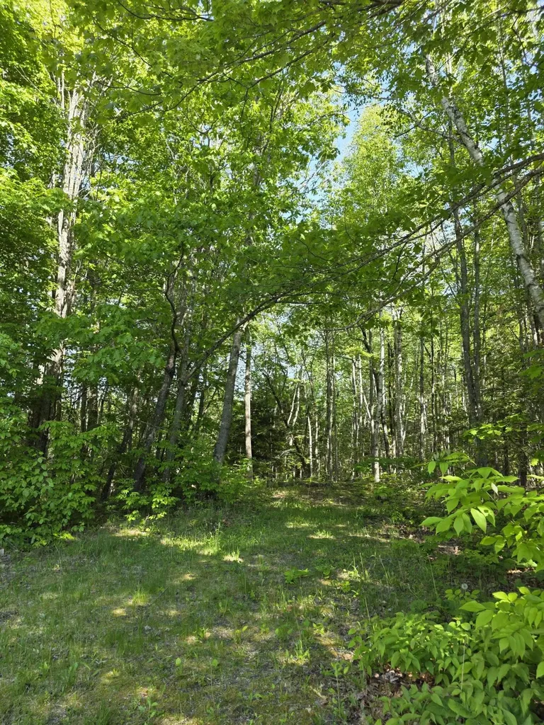 153 Stillwater Avenue Orono ME 04473