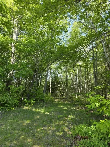 153 Stillwater Avenue Orono ME 04473
