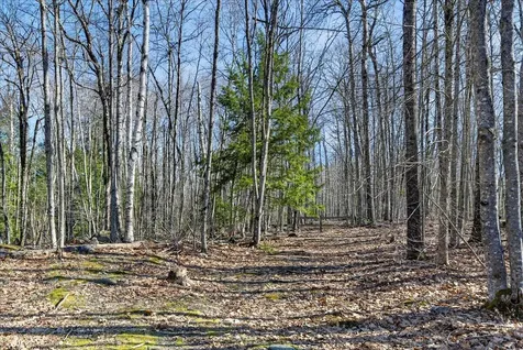 153 Stillwater Avenue Orono ME 04473
