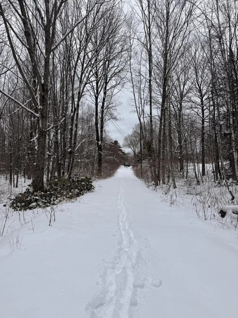 186 Transalpine Road Lincoln ME 04457