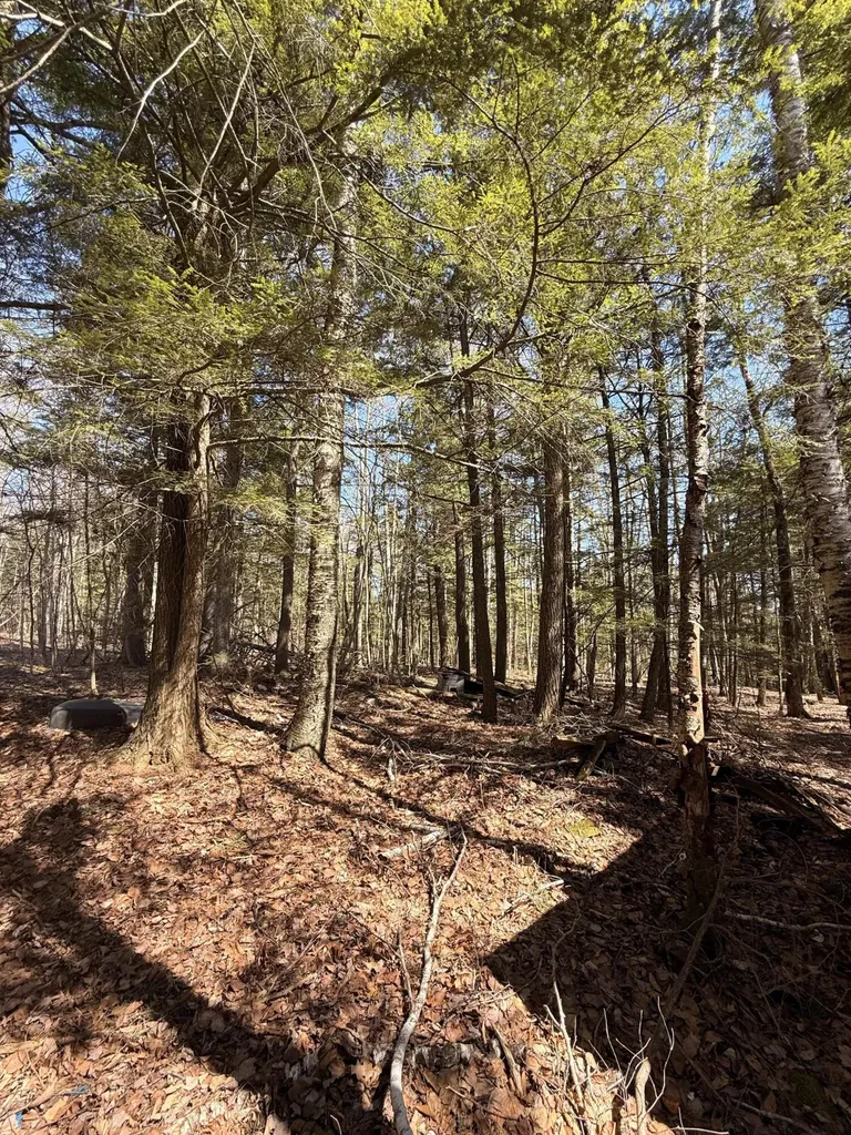 186 Transalpine Road Lincoln ME 04457