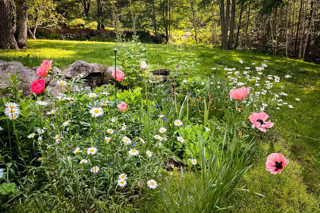 24 White Tail Drive Rockport ME 04856