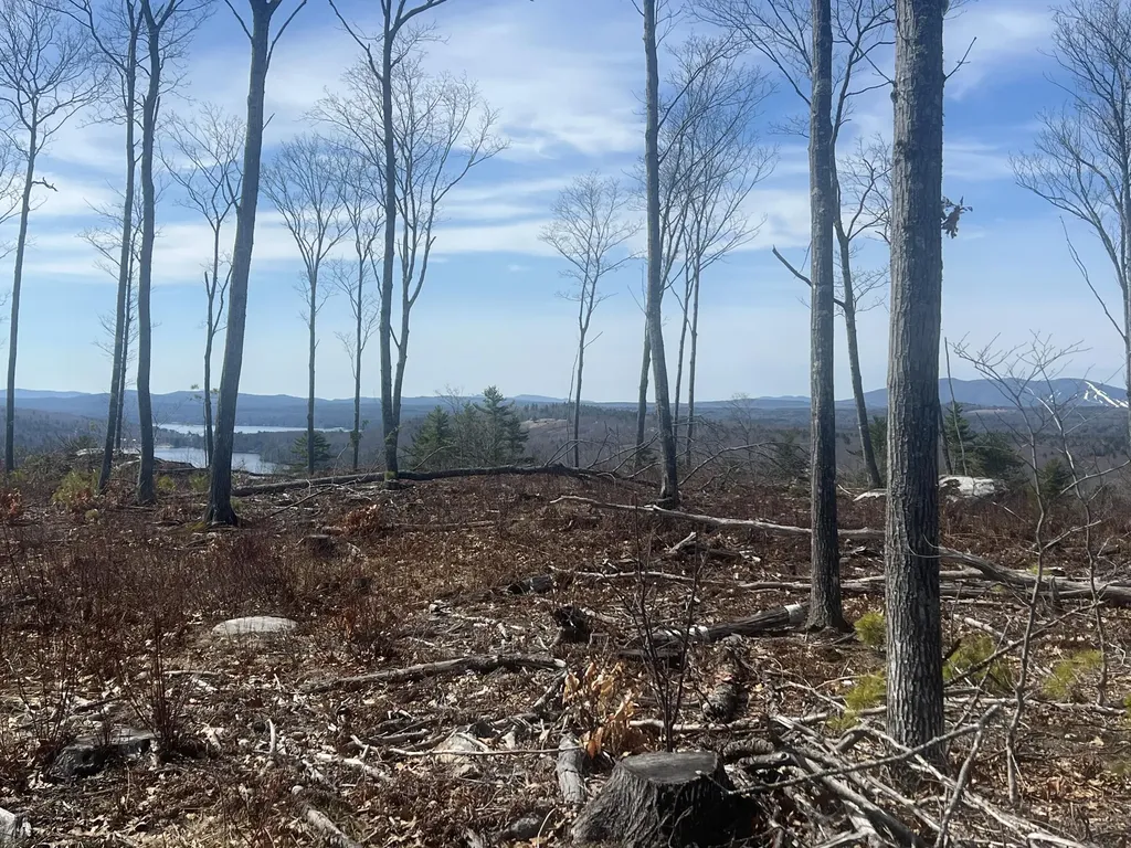 Tbd Deer Hill Road Harrison ME 04040