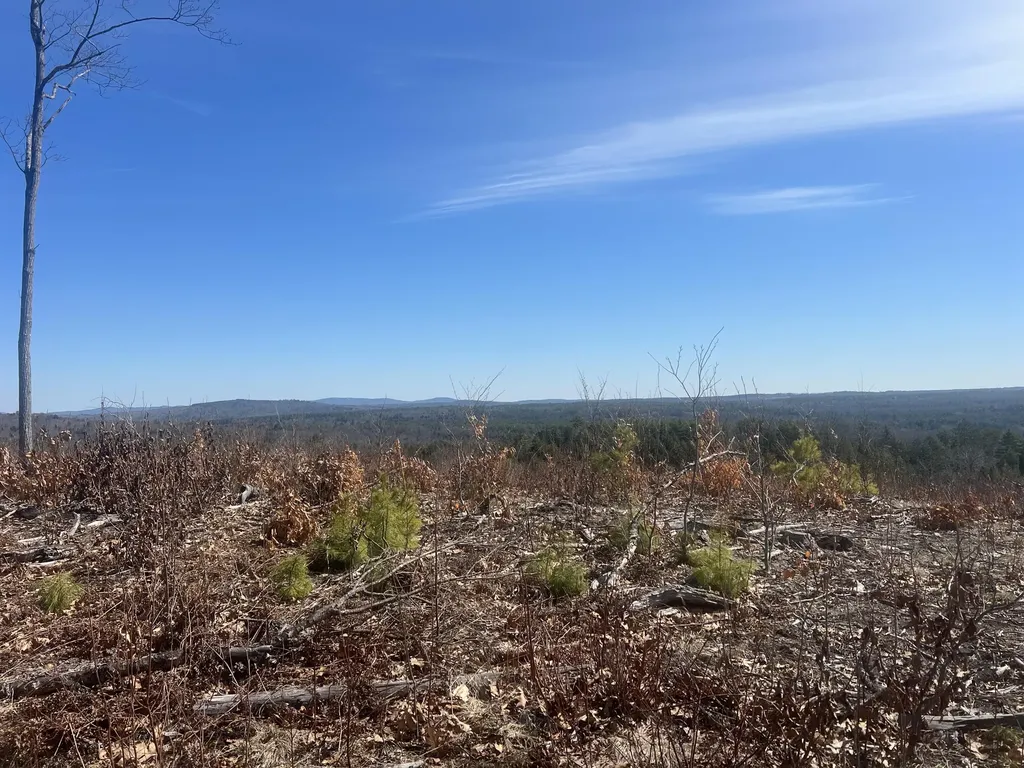 Tbd Deer Hill Road Harrison ME 04040