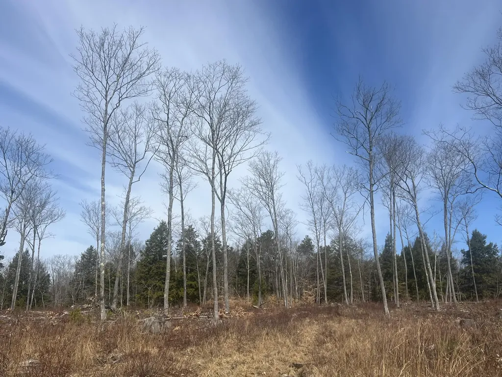 Tbd Deer Hill Road Harrison ME 04040