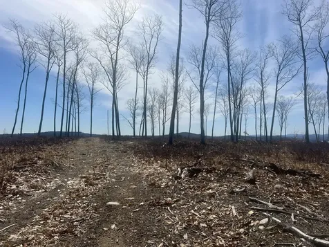 Tbd Deer Hill Road Harrison ME 04040