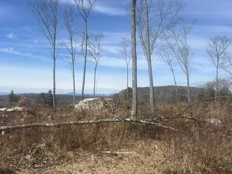 Tbd Deer Hill Road Harrison ME 04040