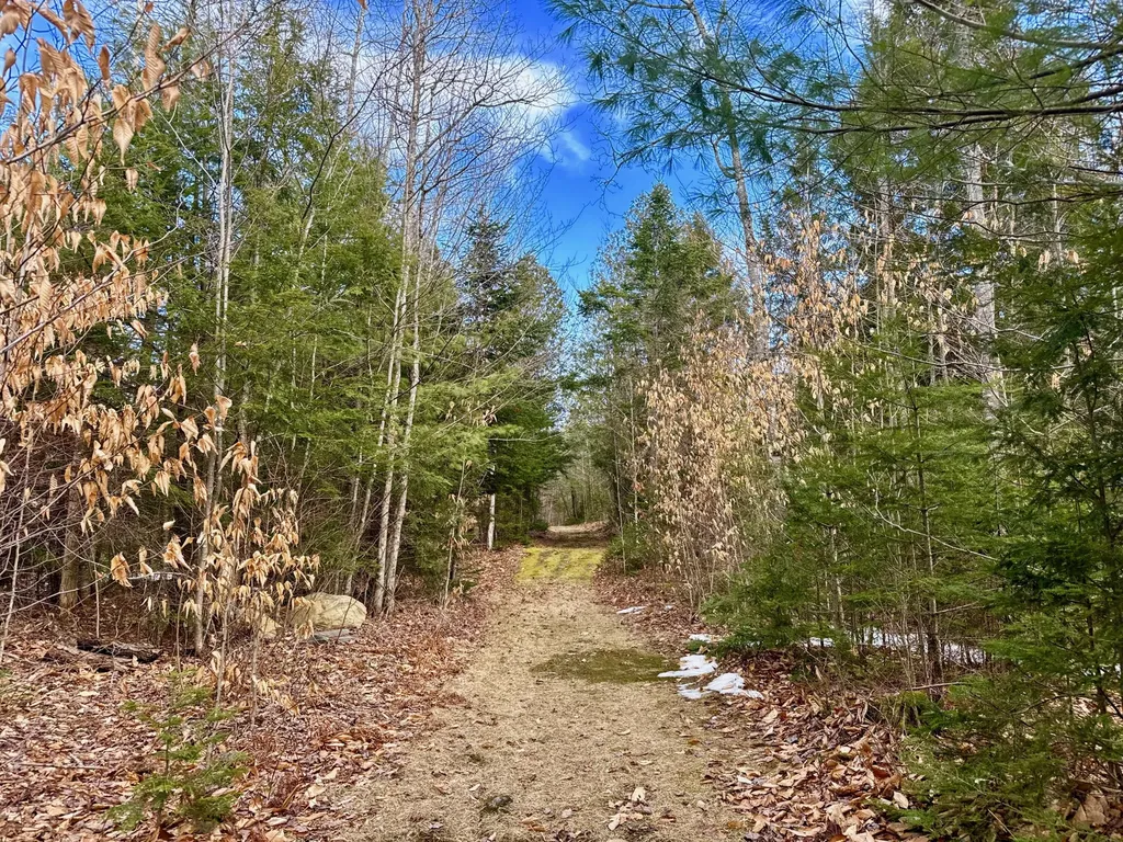 1301 Milo Road Sebec ME 04481
