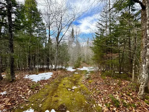 1301 Milo Road Sebec ME 04481