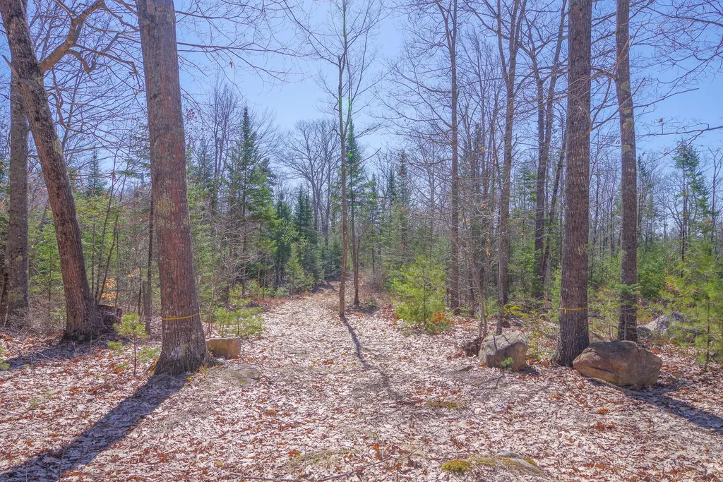 00 Higgins Hill Road Morrill ME 04952