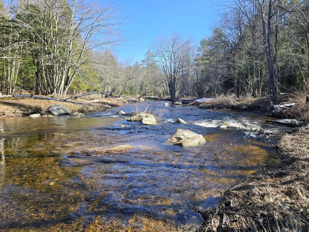 199 Morrill Street Buckfield ME 04220