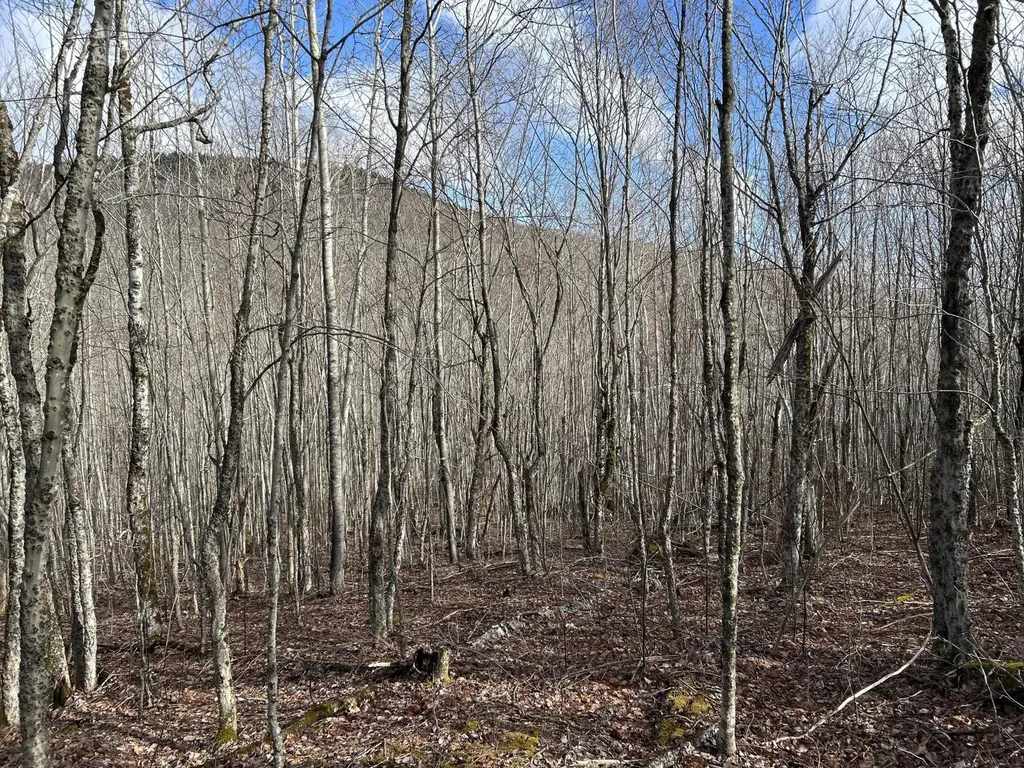 MAP8LOT6 Camp Prospect ME 04981