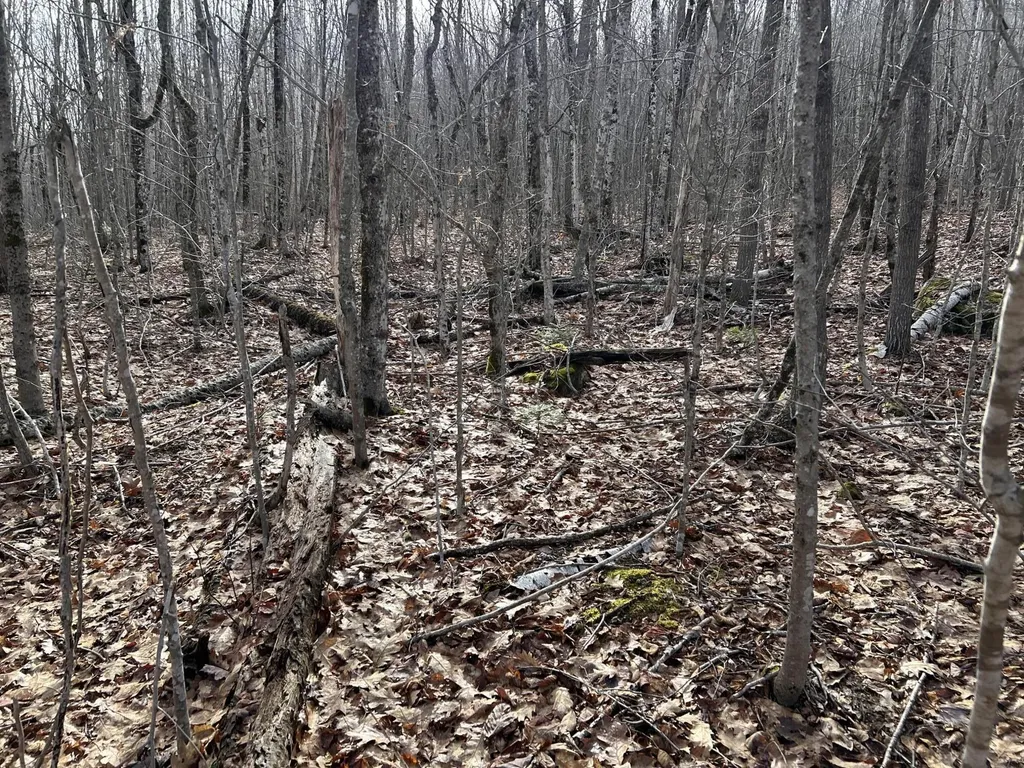 MAP8LOT6 Camp Prospect ME 04981