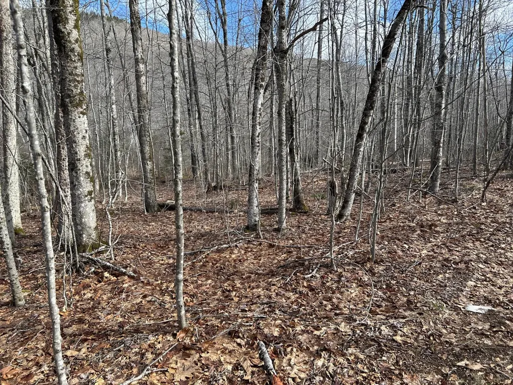 MAP8LOT6 Camp Prospect ME 04981