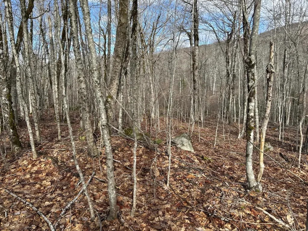 MAP8LOT6 Camp Prospect ME 04981