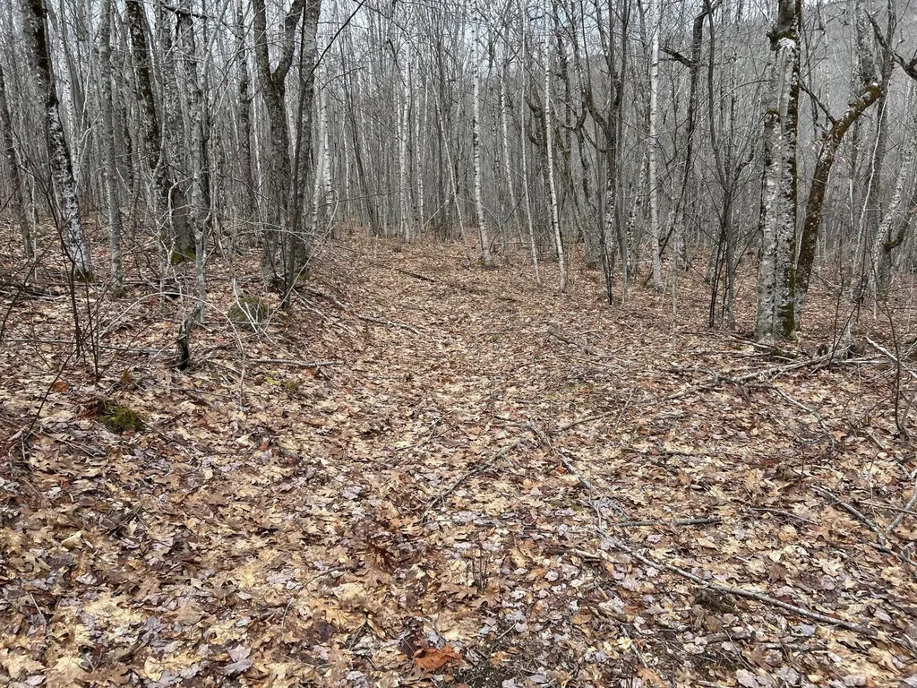 MAP8LOT6 Camp Prospect ME 04981