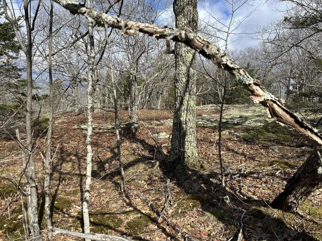 MAP8LOT6 Camp Prospect ME 04981