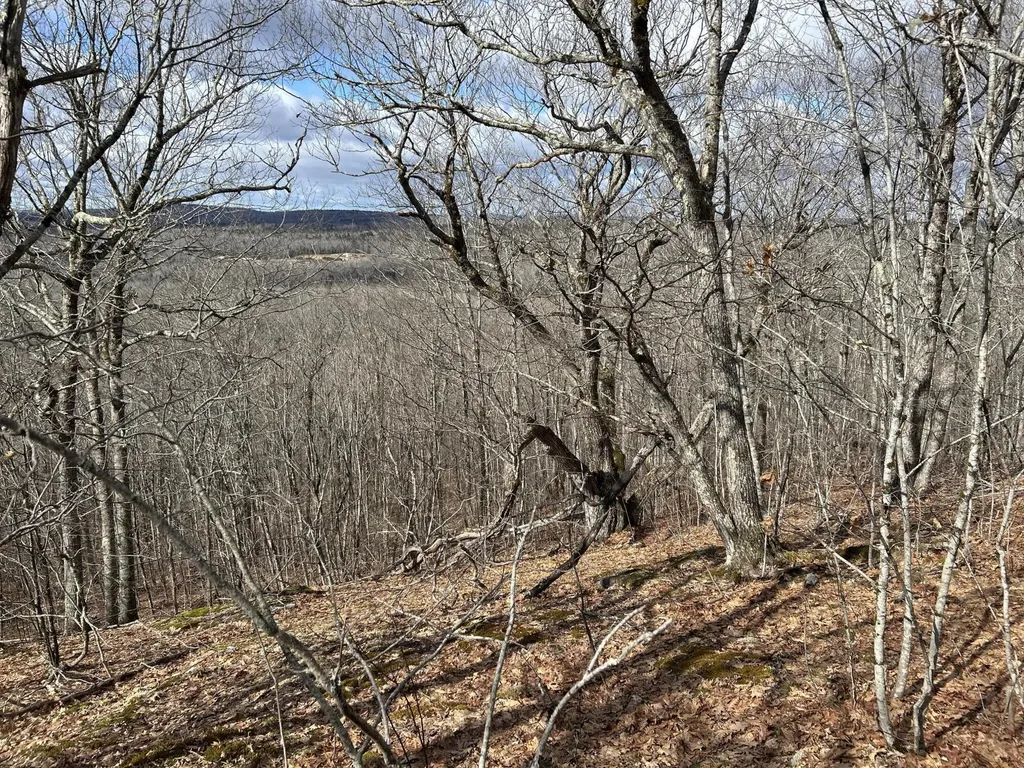 MAP8LOT6 Camp Prospect ME 04981