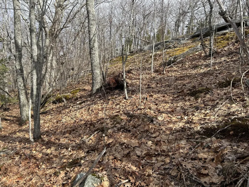 MAP8LOT6 Camp Prospect ME 04981