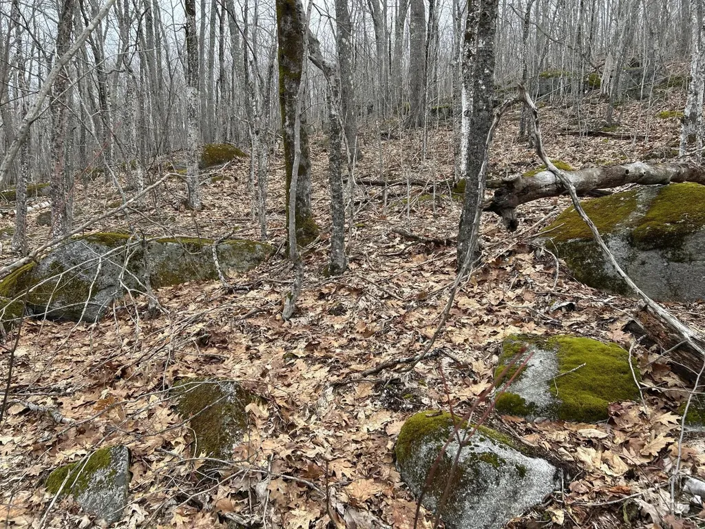 MAP8LOT6 Camp Prospect ME 04981