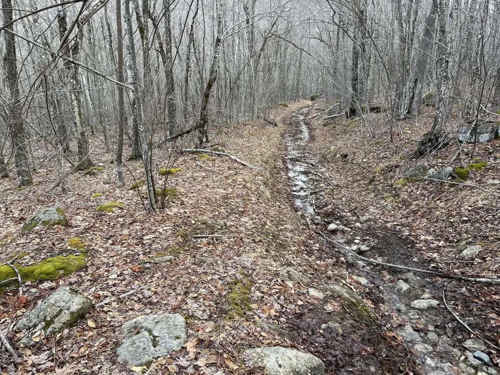 MAP8LOT6 Camp Prospect ME 04981