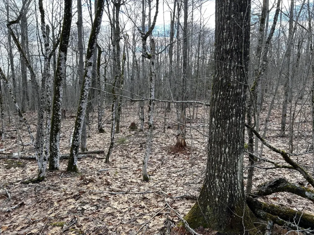 MAP8LOT6 Camp Prospect ME 04981