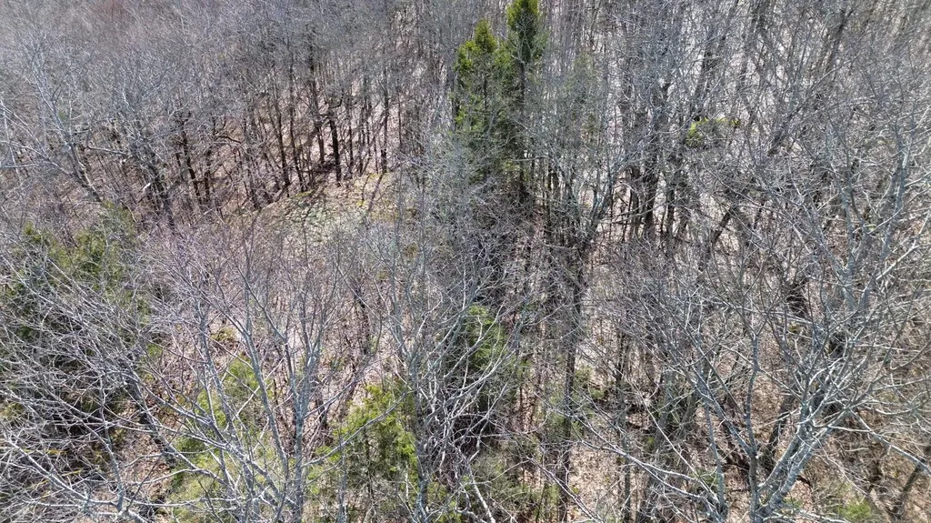 MAP8LOT6 Camp Prospect ME 04981