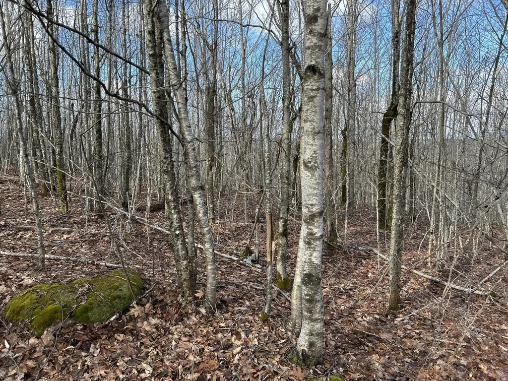 MAP8LOT6 Camp Prospect ME 04981
