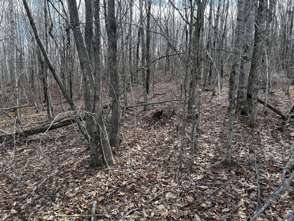 MAP8LOT6 Camp Prospect ME 04981
