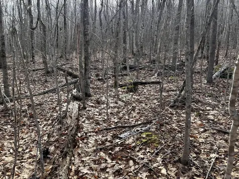 MAP8LOT6 Camp Prospect ME 04981
