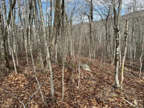 MAP8LOT6 Camp Prospect ME 04981