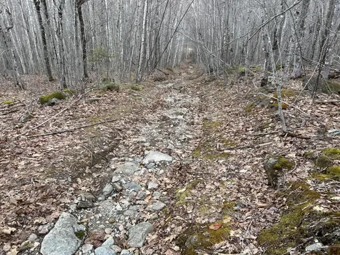 MAP8LOT6 Camp Prospect ME 04981