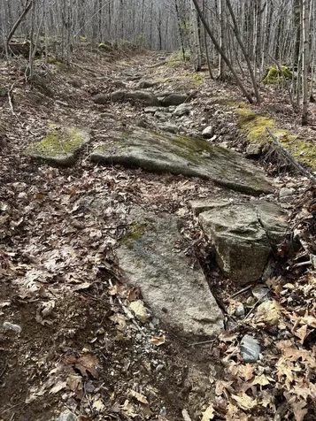 MAP8LOT6 Camp Prospect ME 04981