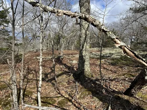 MAP8LOT6 Camp Prospect ME 04981