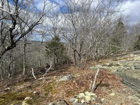 MAP8LOT6 Camp Prospect ME 04981
