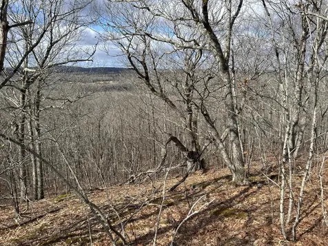 MAP8LOT6 Camp Prospect ME 04981