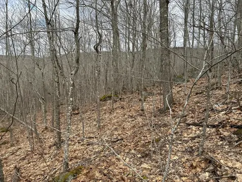 MAP8LOT6 Camp Prospect ME 04981