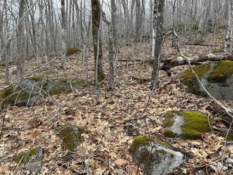 MAP8LOT6 Camp Prospect ME 04981