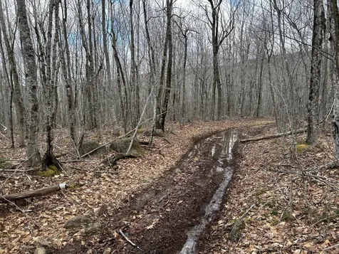 MAP8LOT6 Camp Prospect ME 04981