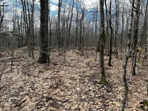 MAP8LOT6 Camp Prospect ME 04981