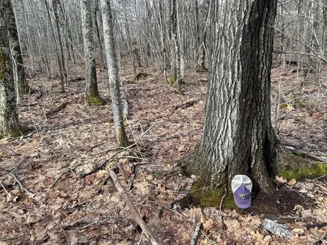 MAP8LOT6 Camp Prospect ME 04981