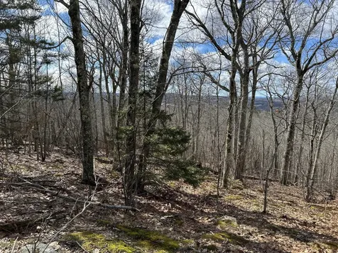 MAP8LOT6 Camp Prospect ME 04981