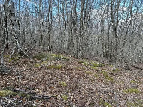 MAP8LOT6 Camp Prospect ME 04981