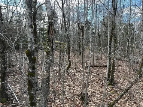 MAP8LOT6 Camp Prospect ME 04981